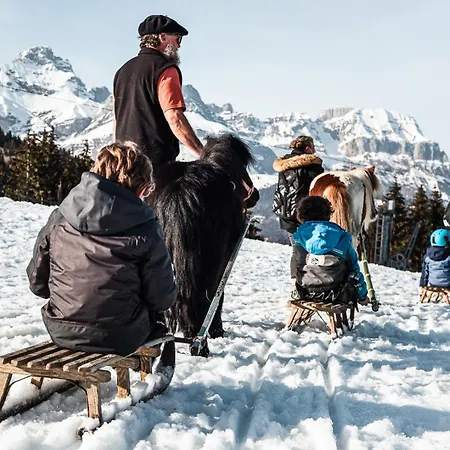 Alpen Valley, Mont-blanc 4* Combloux