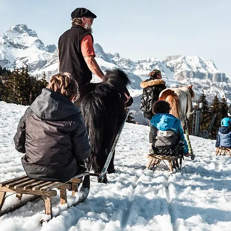 Alpen Valley, Mont-blanc 4* קומבלו