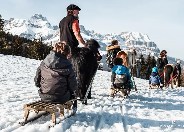 Alpen Valley, Mont-blanc 4* Combloux