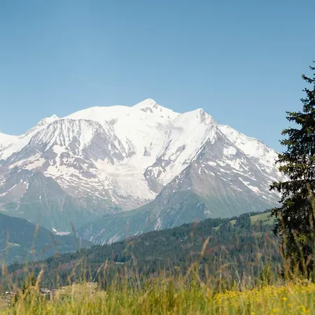 ホテル Alpen Valley, Mont-blanc コンブルー