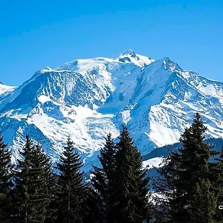 Hotel Alpen Valley, Mont-blanc Combloux
