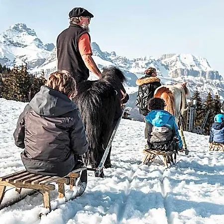 Alpen Valley, Mont-blanc